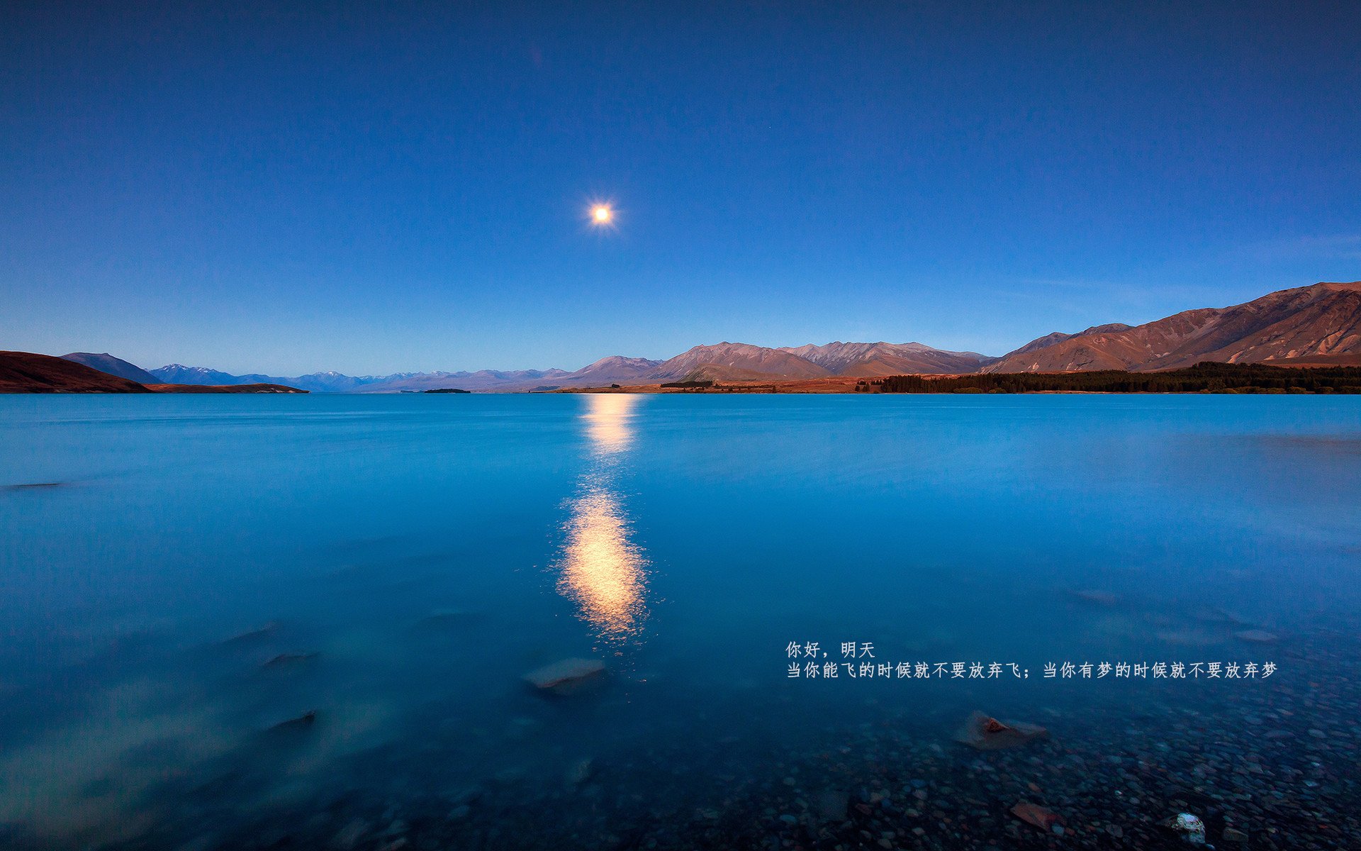 NBA官方推出新广告系列,篮球魅力全球传播,nba最新广告