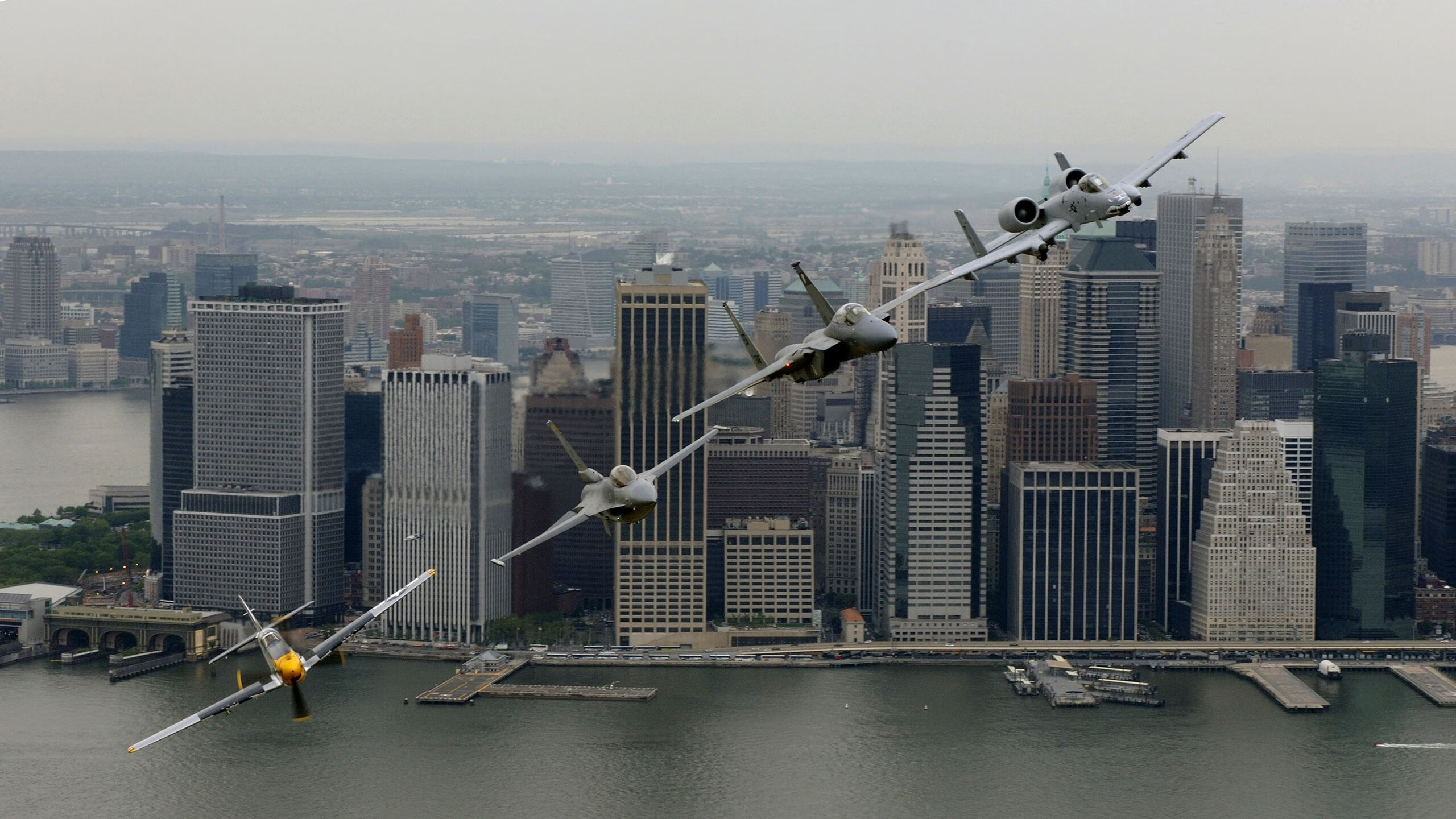 _全场焦点:明星运动员精彩表现引爆全场热情_,明星运动员综艺节目