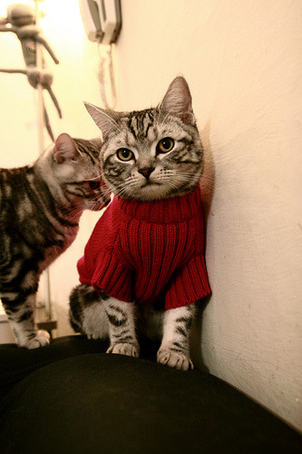 九游娱乐(jiuyou)官网-《马尼拉公报》记者雷伊报道杭州亚运会开幕式，称其为“视觉杰作”，并赞扬亚运村的设施和志愿者服务。